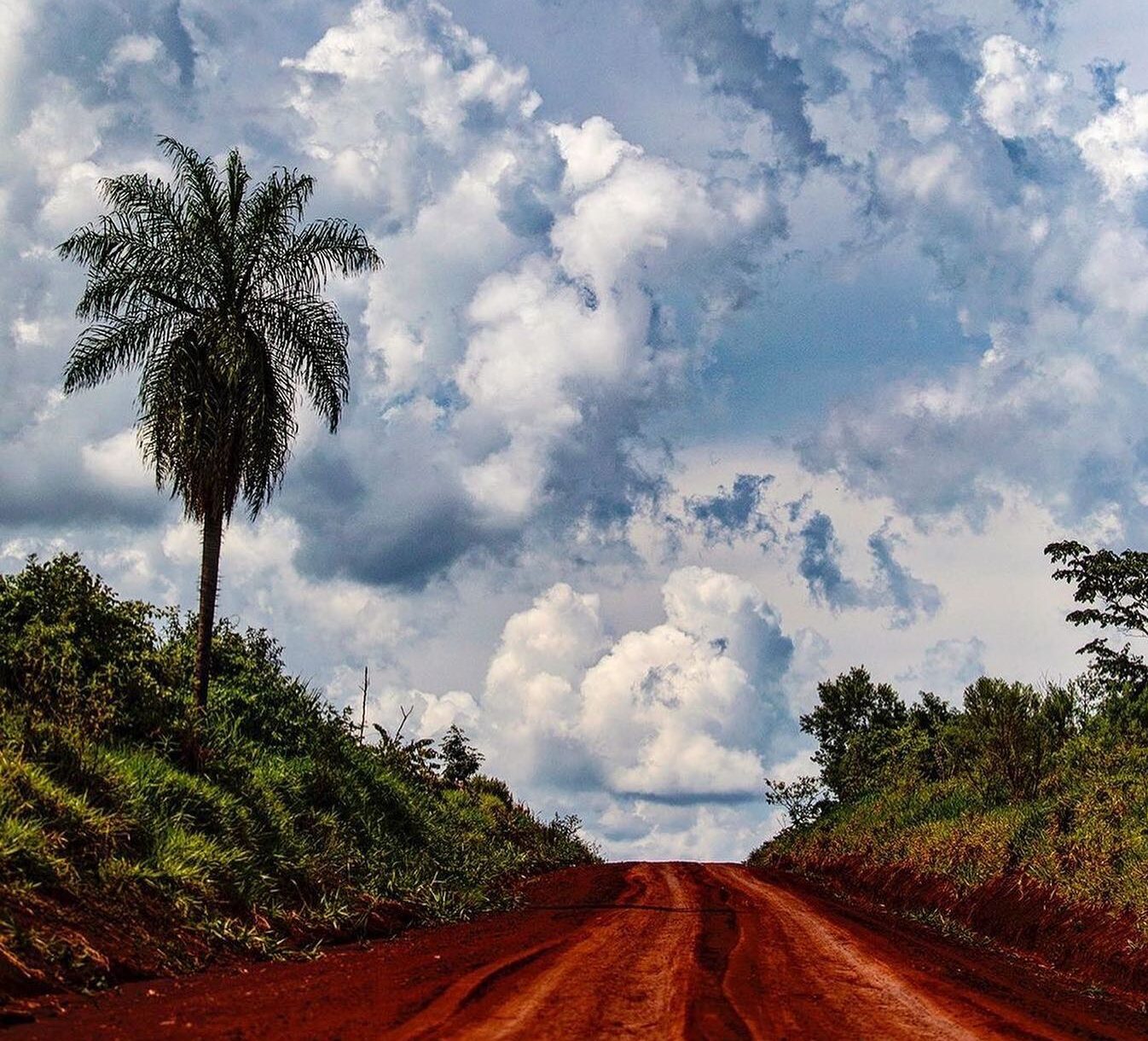 Autorondreis Argentinië – Junglelodges en Watervallen