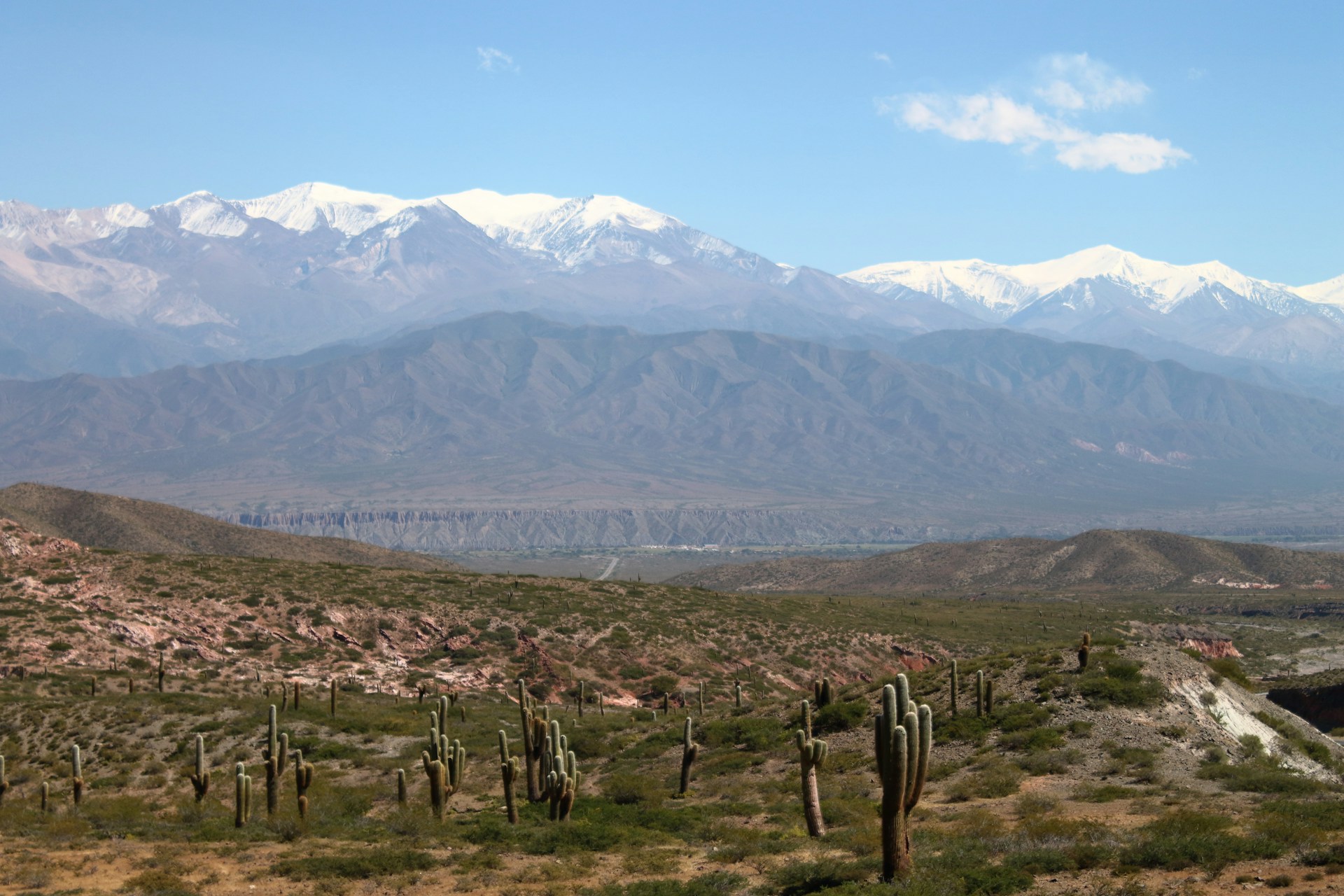 Parque Nacional Los Cardones