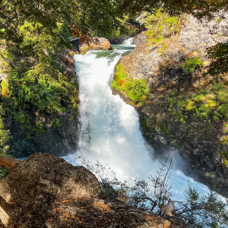 De indrukwekkende Cascada los Alerces waterval omringd door dicht bos in het Nationaal Park Nahuel Huapi.