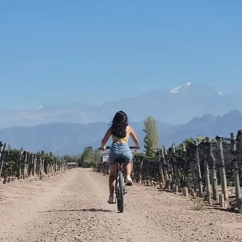 E-bike tour & Wijnlunch Fietser op e-bike tussen de wijngaarden van Chacras de Coria met uitzicht op het Andesgebergte.