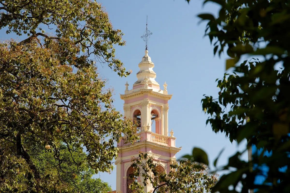 De koloniale pracht van Salta la Linda De iconische roze en witte kerktoren van San Francisco in Salta, gefotografeerd door de bladeren van bomen tegen een strakblauwe lucht.