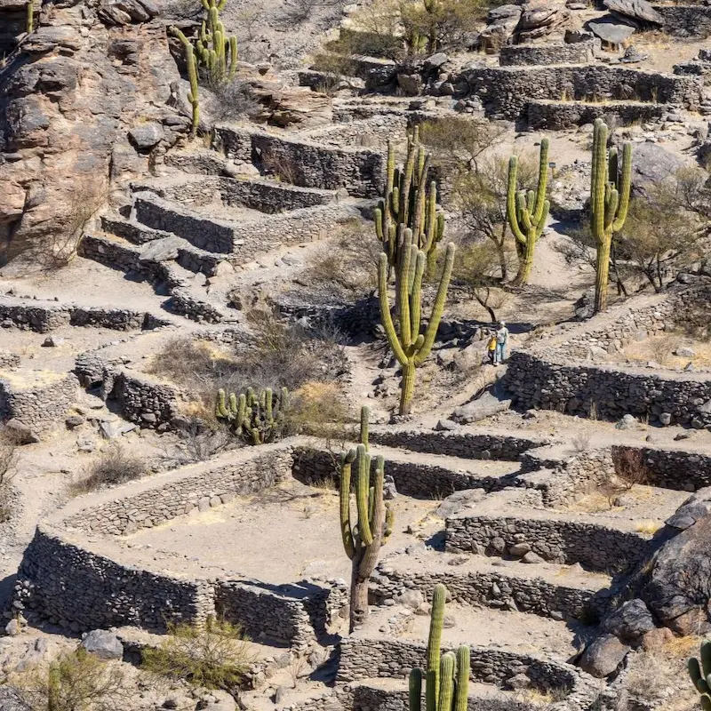 Overzicht over de archeologische overblijfselen van de Quilmes-nederzetting tegen de helling van de Calchaquí-vallei.