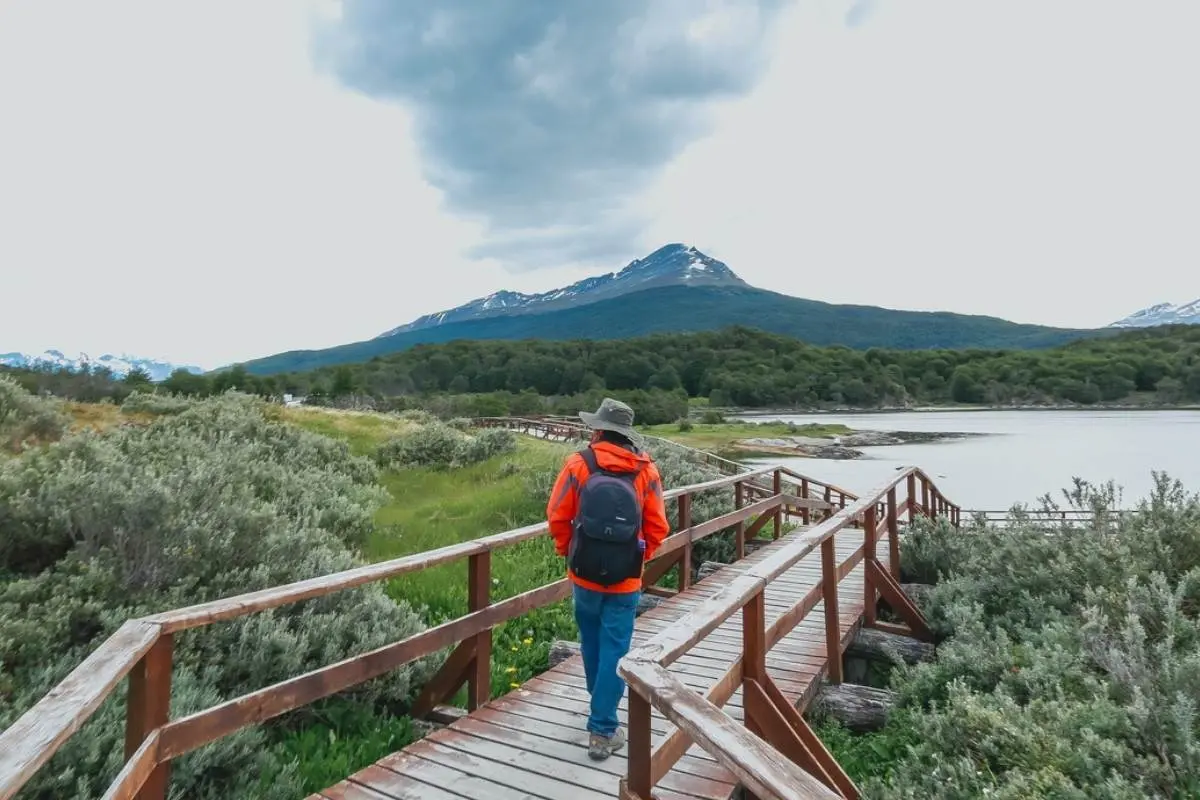 Een wandelaar op de houten loopbruggen langs de kust van het Nationaal Park Tierra del Fuego, met uitzicht op het Beaglekanaal.
