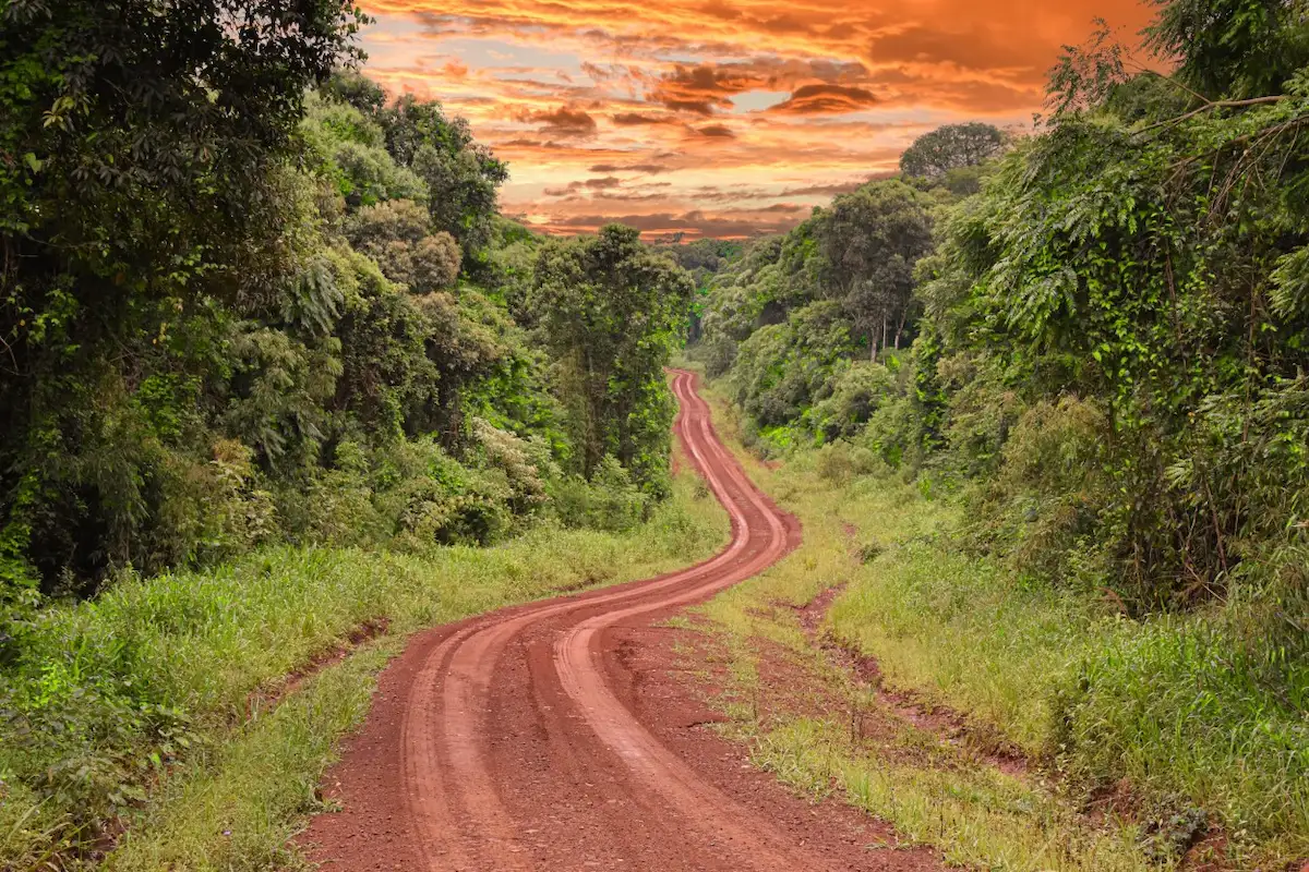 Een sfeervol afscheid van het noordoosten Een karakteristieke rode onverharde weg door de jungle van Misiones tijdens een sfeervolle oranje zonsondergang.
