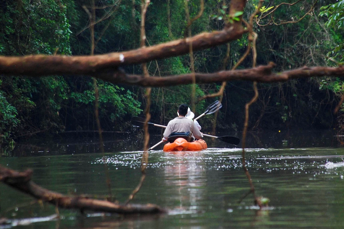 Reizigers in een oranje kano peddelen over een stille rivier diep in het regenwoud van Yacutinga, omgeven door dichte vegetatie en overhangende takken.