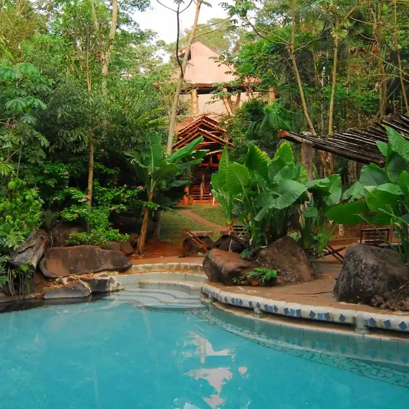 Eco-lodge midden in de jungle van het Yacutinga-natuurreservaat in de provincie Misiones.