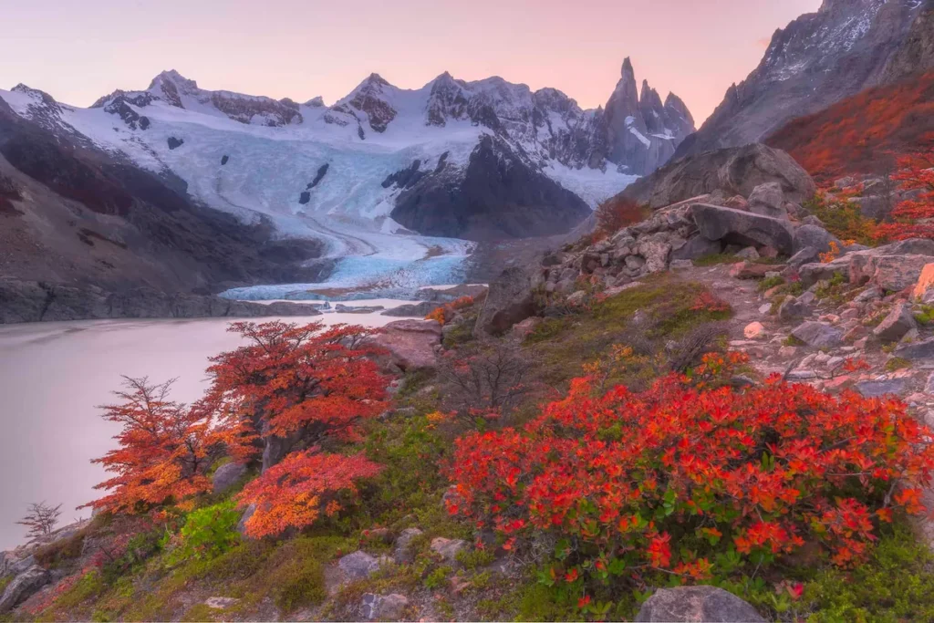 Herfstkleuren bij Laguna Torre met uitzicht op de Cerro Torre gletsjer in El Chalten, Patagonië.