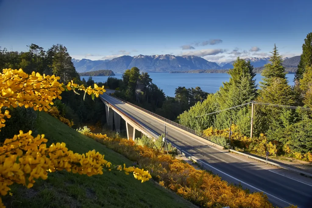 De brug over de Rio Correntoso omringd door bloeiende gele brem langs de Zeven Meren Route bij Villa La Angostura, Patagonië.